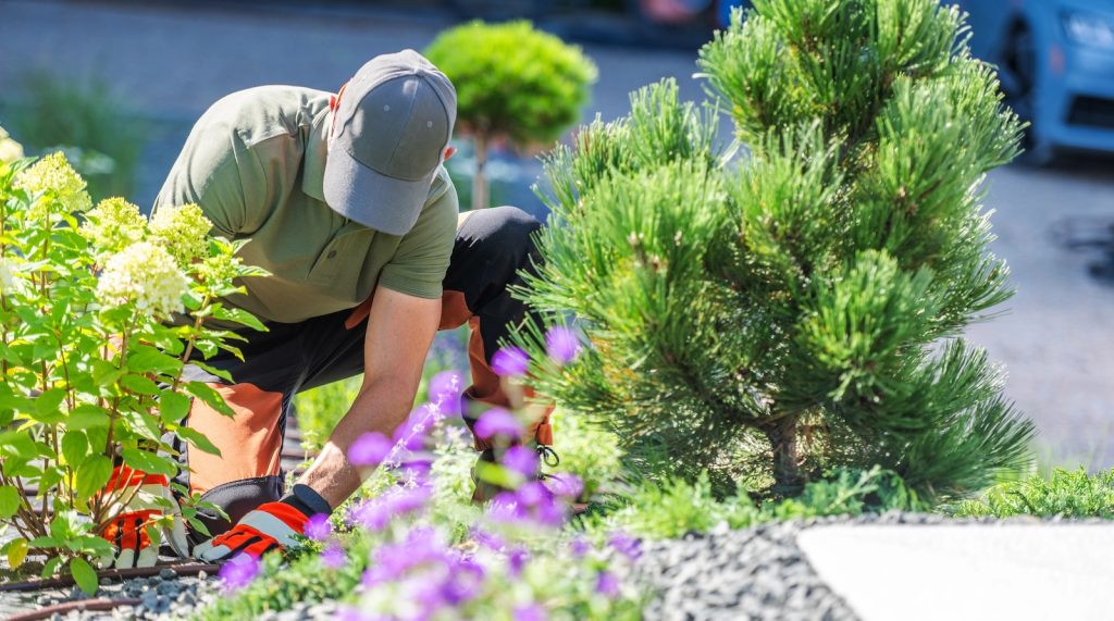 Sea Breeze Lawn Care: Charleston’s Premier Residential & Commercial Landscaping Experts