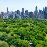 What Defines High-End Living in a Growing Urban Landscape