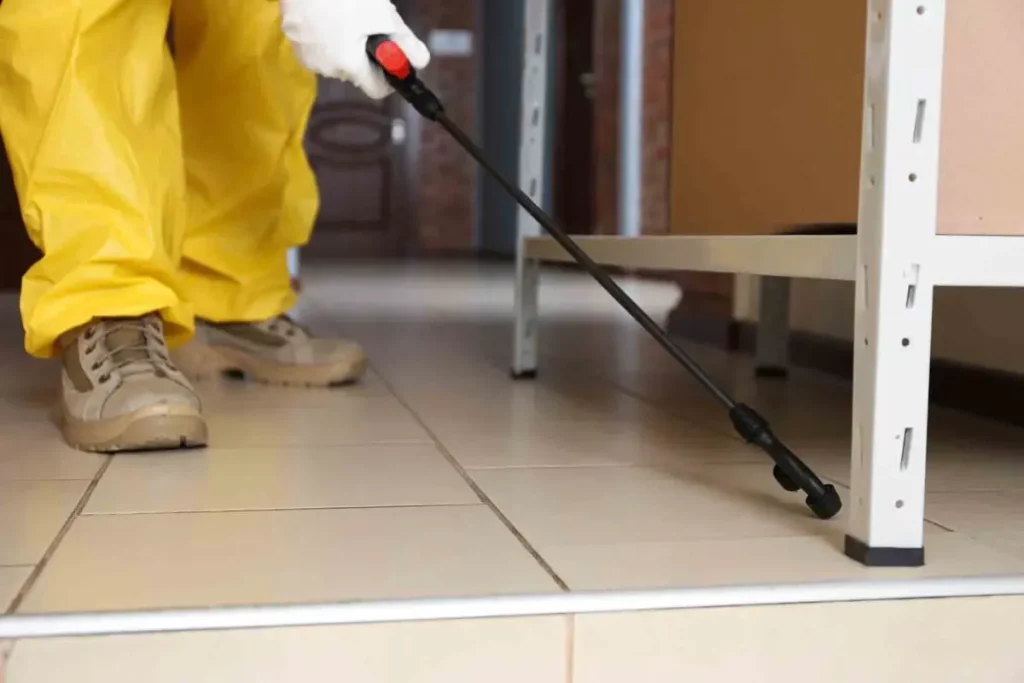 termite control services