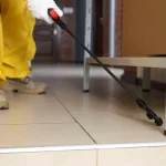 termite control services