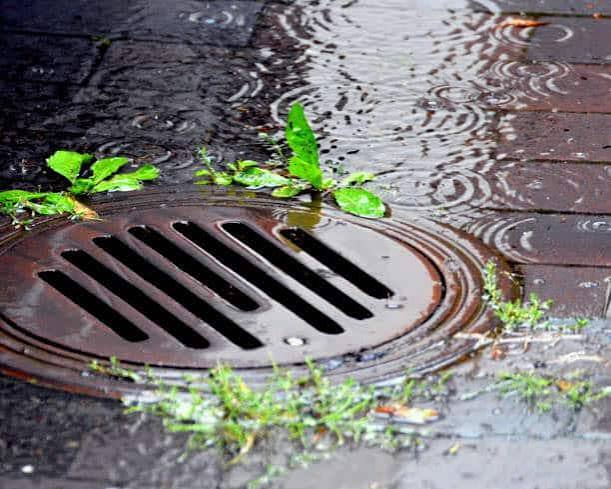 Hidden Drainage Problems That Can Affect Your Home Without Warning